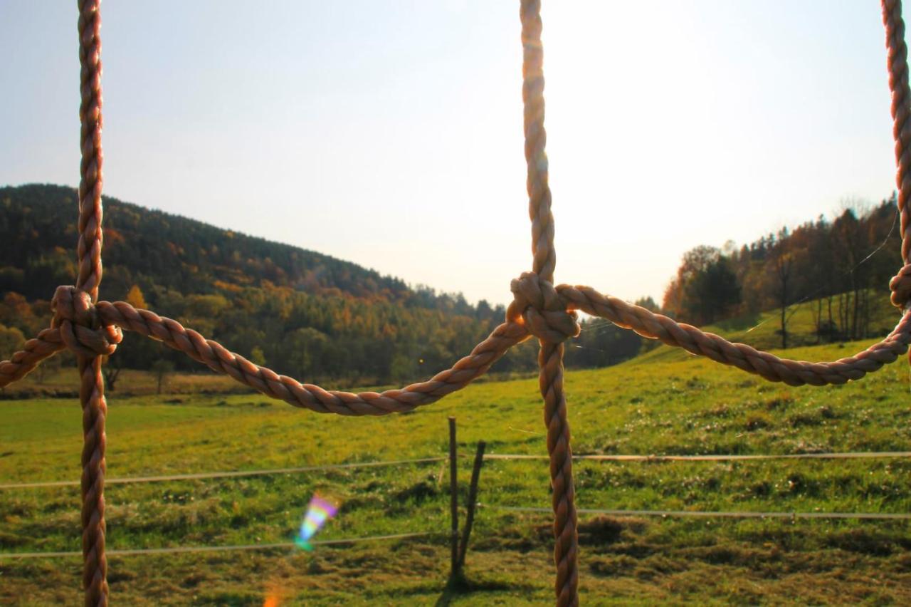 Domki Pod Bukowym Lasem Wańkowa Esterno foto