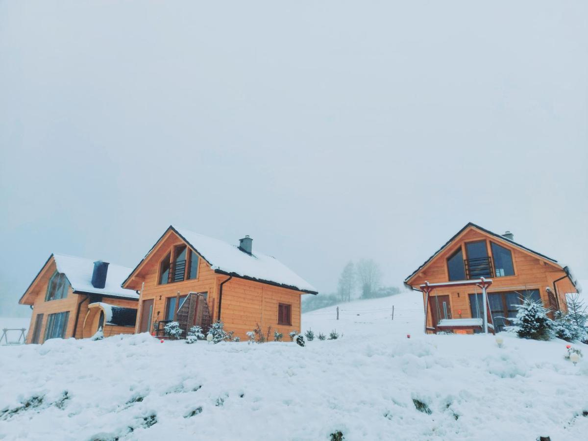 Domki Pod Bukowym Lasem Wańkowa Esterno foto