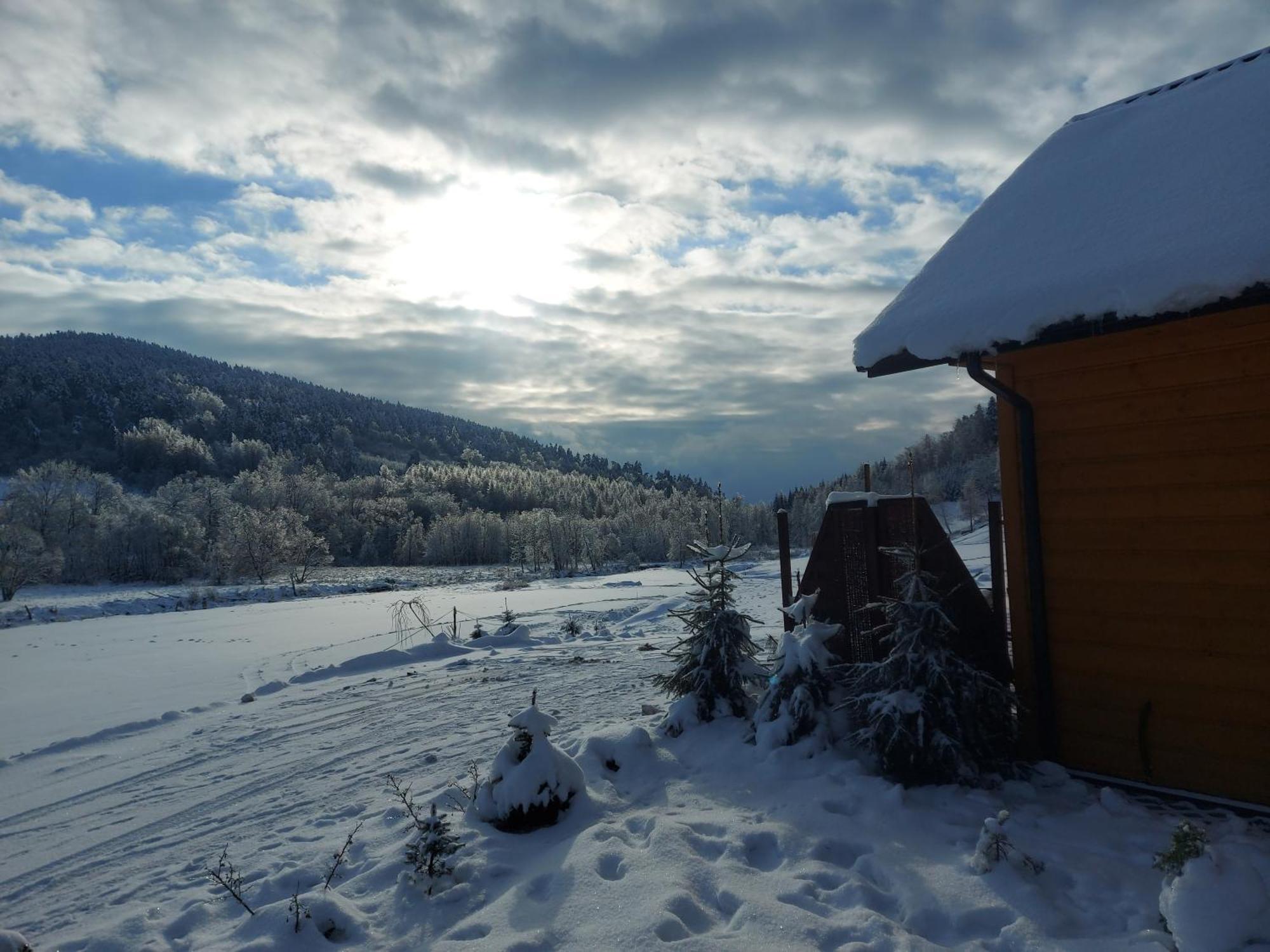Domki Pod Bukowym Lasem Wańkowa Esterno foto