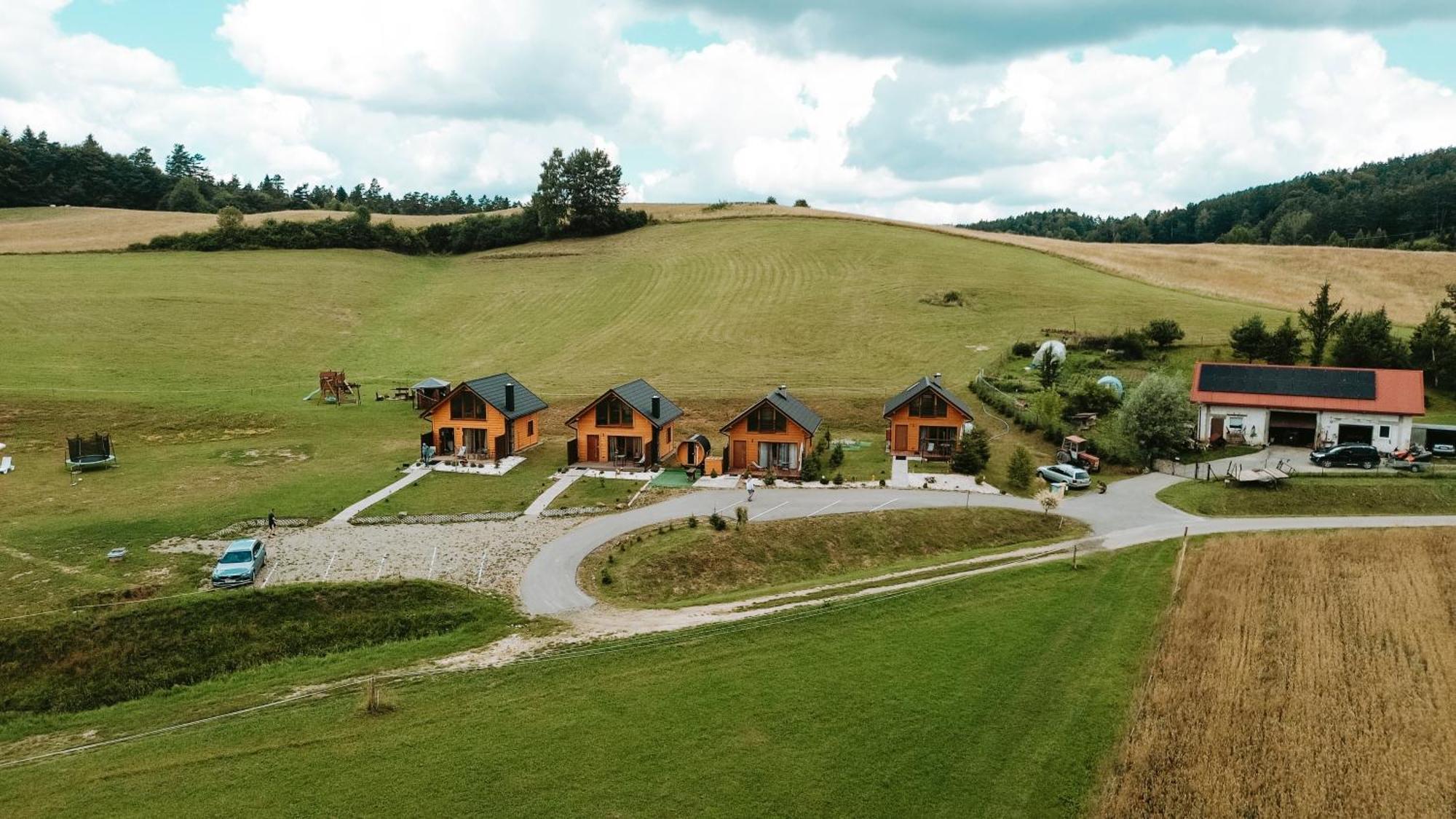 Domki Pod Bukowym Lasem Wańkowa Esterno foto
